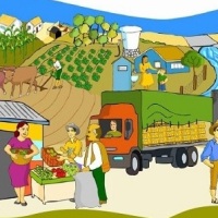 Agricultura Familiar: Compartilhando o Programa com o BRICS!
